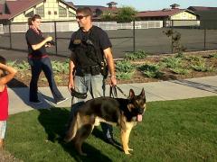 ROSEVILLE POLICE CANINE