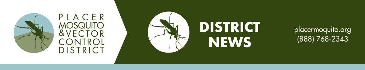 More information about "Updates from Placer Mosquito and Vector Control District"