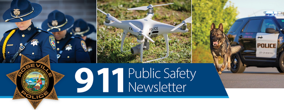 cor-pd-newsletter-header-06_crop.png